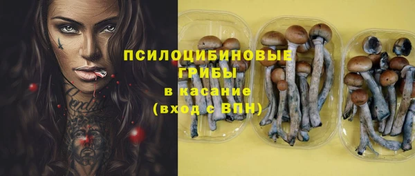 ГАЛЛЮЦИНОГЕННЫЕ ГРИБЫ Лихославль
