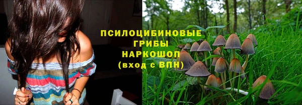 ГАЛЛЮЦИНОГЕННЫЕ ГРИБЫ Лихославль